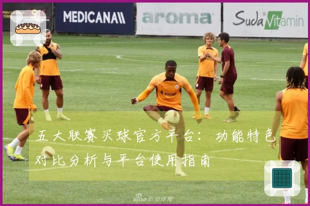 五大联赛买球官方平台：功能特色对比分析与平台使用指南