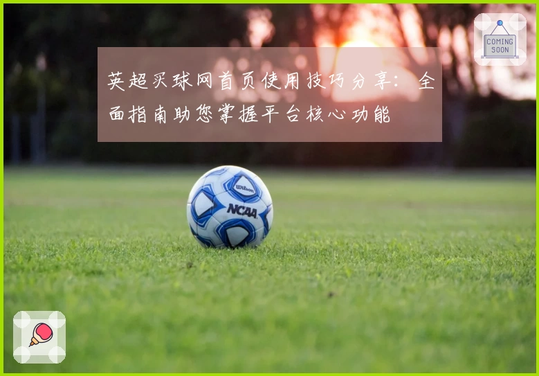 英超买球网首页使用技巧分享：全面指南助您掌握平台核心功能