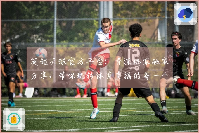 英超买球官方平台:资深玩家独家分享,带你玩转体育直播的每一个精彩瞬间
